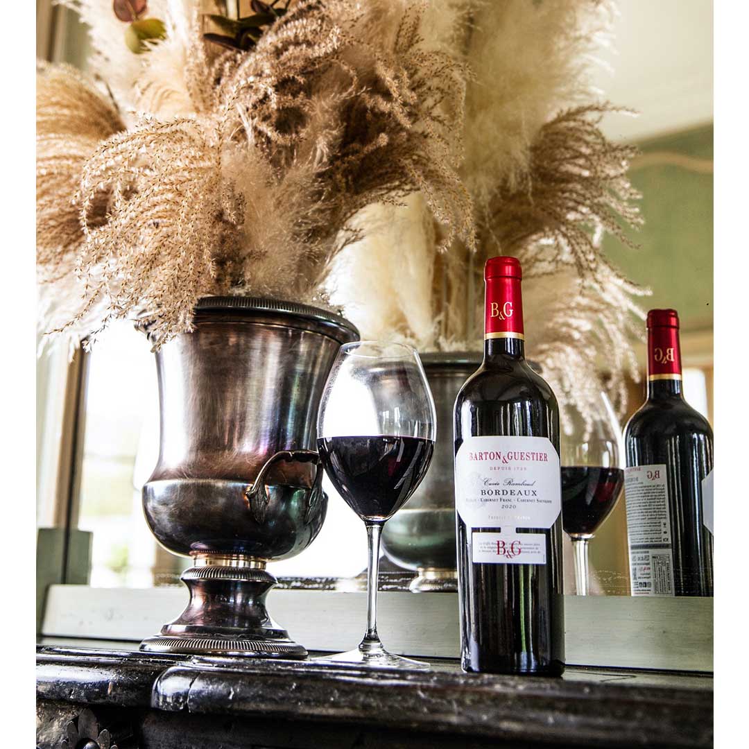 Вино Barton & Guestier Bordeaux Rouge Passeport червоне сухе 0,75л 13% купити