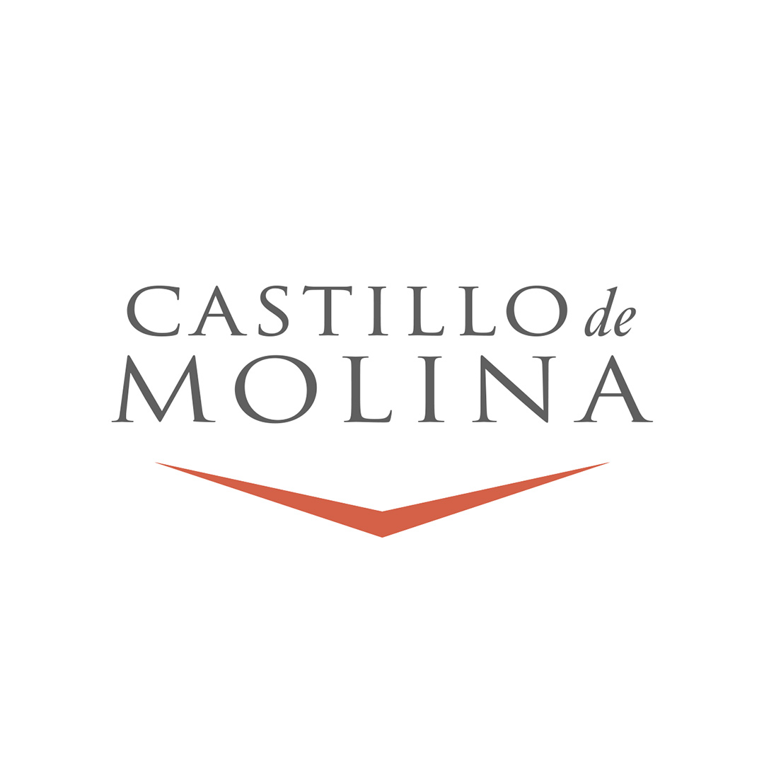 Вино Castillo de Molina Sauvignon Blanc белое сухое 0,75л 13-14% купить