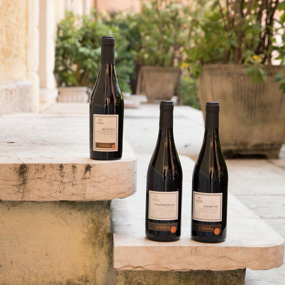 Вино Cantina di Verona Valpolicella Superiore сухе червоне 0,75л 13% купити