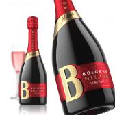 Вино ігристе Bolgrad Nectar червоне напівсолодке 0,75л 10-13,5% Шампанське напівсолодке на RUMKA. Тел: 067 173 0358. Доставка, гарантія, кращі ціни!, фото2