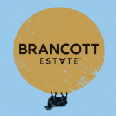 Вино Brancott Estate Marlborough Sauvignon Blanc белое сухое 0,75л 10,5-15% купить