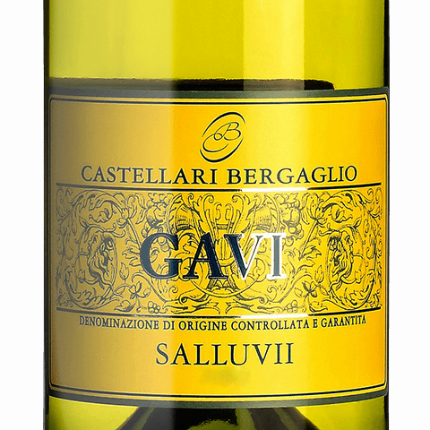 Вино Castellari Bergaglio Gavi Salluvii біле сухе 0,75л 12.5% купити