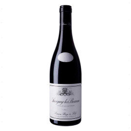 Вино Simon Bize et Fils, Savigny-les-Beaune AOC Rouge, 2019, красное сухое 375мл 12,5%