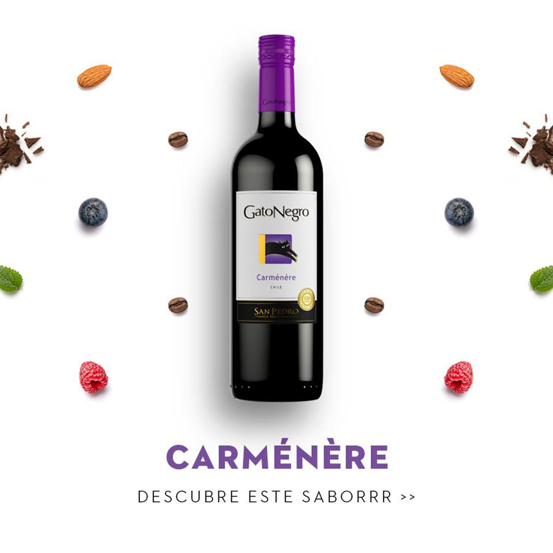 Вино Gato Negro Carmenere красное сухое 0,75л 13-14% в Украине