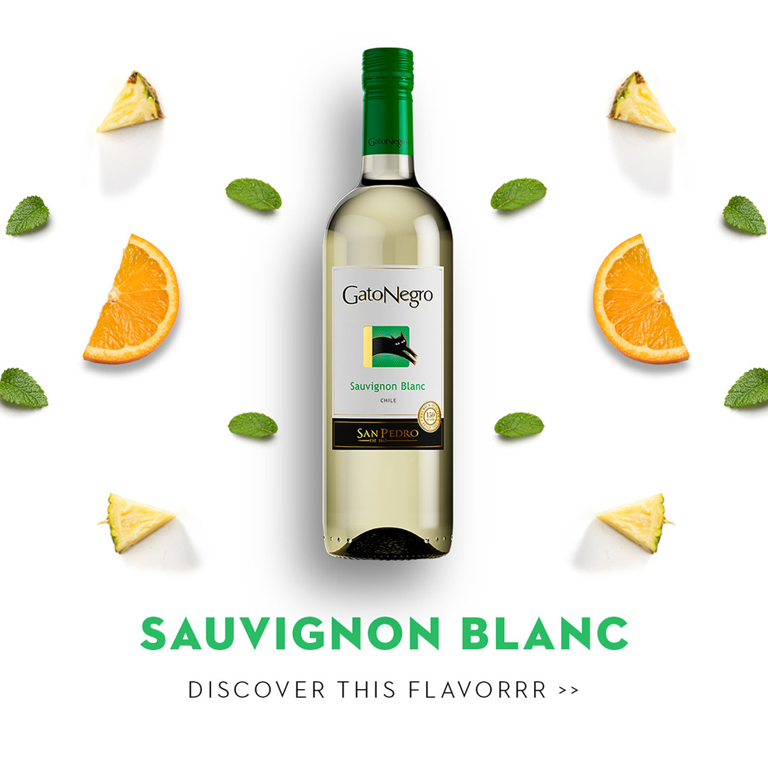 Вино Gato Negro Sauvignon Blanc біле сухе 0,75л 13% в Україні