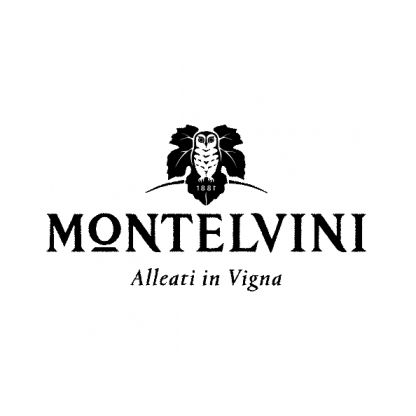 Вино ігристе Montelvini Prosecco DOC Spumante Extra Dry 0,75 л 11% Шампанське і ігристе вино на RUMKA. Тел: 067 173 0358. Доставка, гарантія, кращі ціни!