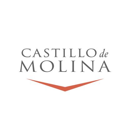Вино Castillo de Molina Chardonnay белое сухое 0,75л 13-14% Вина и игристые в RUMKA. Тел: 067 173 0358. Доставка, гарантия, лучшие цены!