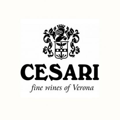 Вино Pinot Grigio delle Venezie Essere 2 Be 0,75 л 12.5% Вина та ігристі на RUMKA. Тел: 067 173 0358. Доставка, гарантія, кращі ціни!