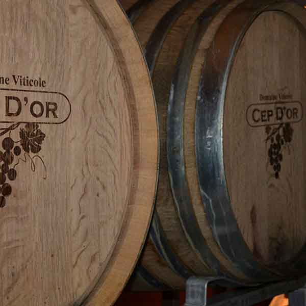 Вино Cep d'Оr Saint Tropez Rose  сухое розовое 0,75л 13% в Украине