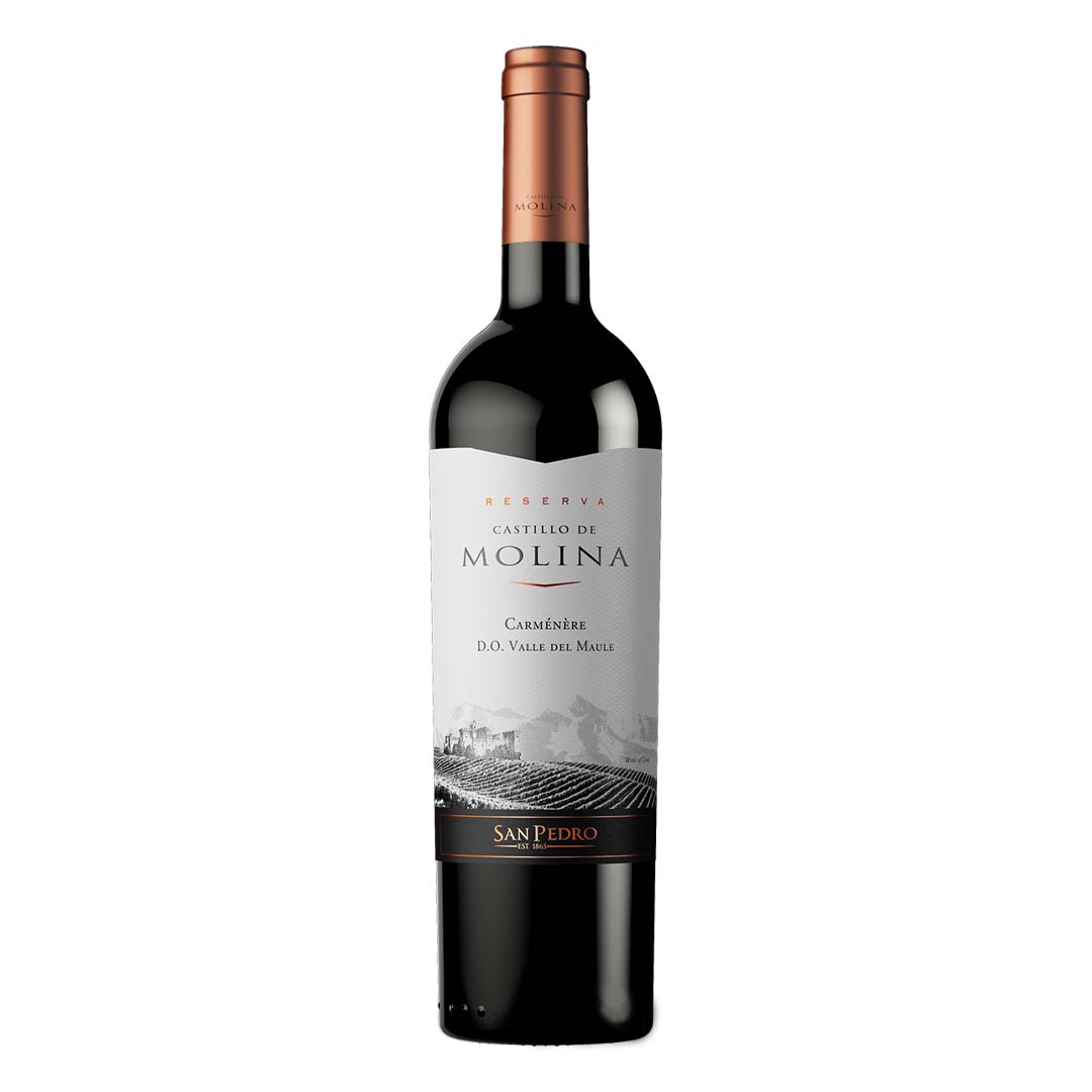 Вино Castillo de Molina Carmenere красное сухое 0,75л 13-14%