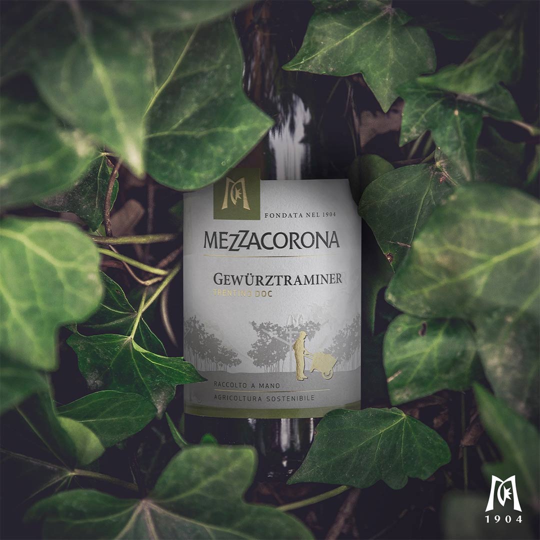 Вино Mezzacorona Gewurtztraminer Trentino DOC белое полусухое 0,75л 13% купить