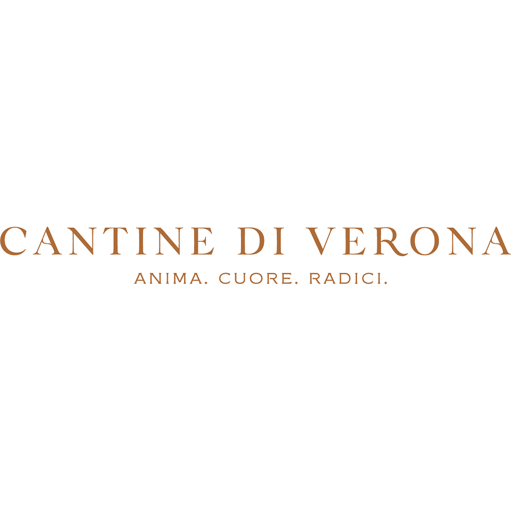 Вино Cantina di Verona Valpolicella DOC червоне сухе 0,75л 12,5% купити