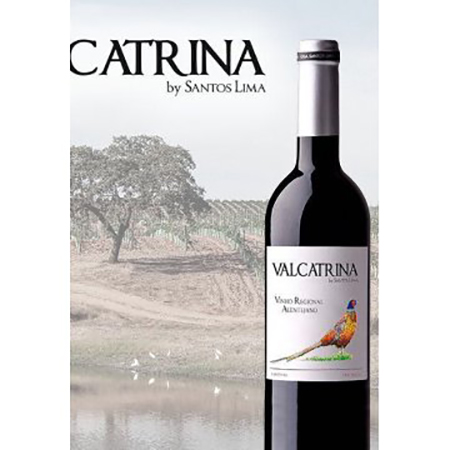 Вино Casa Santos Lima Valcatrina красное сухое 14,5% 0,75л купить