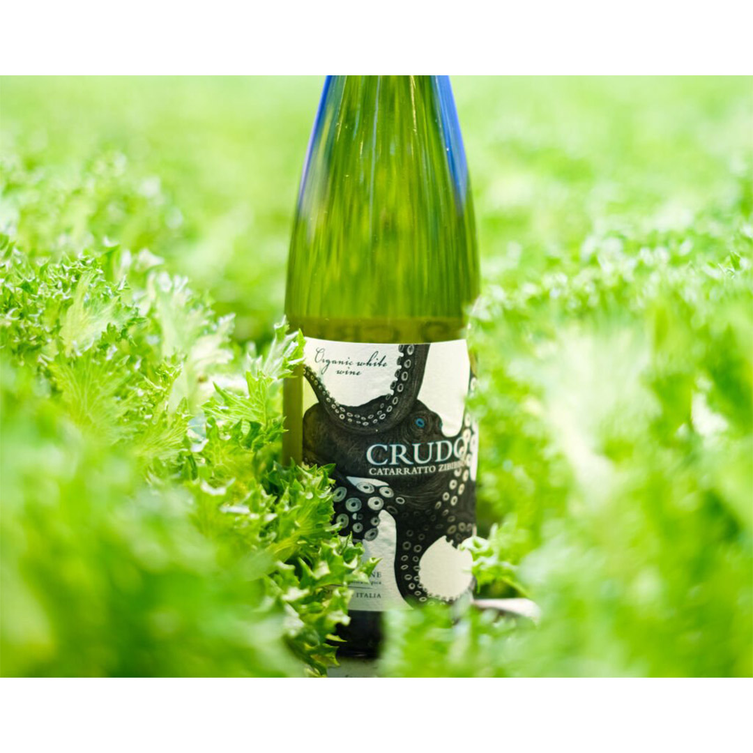 Вино Mare Magnum Crudo Catarratto-Zibibbo Organic біле сухе 0,75л 12,5% купити