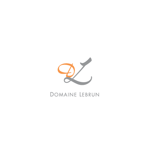 Вино Domaine Lebrun Pouilly Fume Aoc біле сухе 0,75л 13% купити