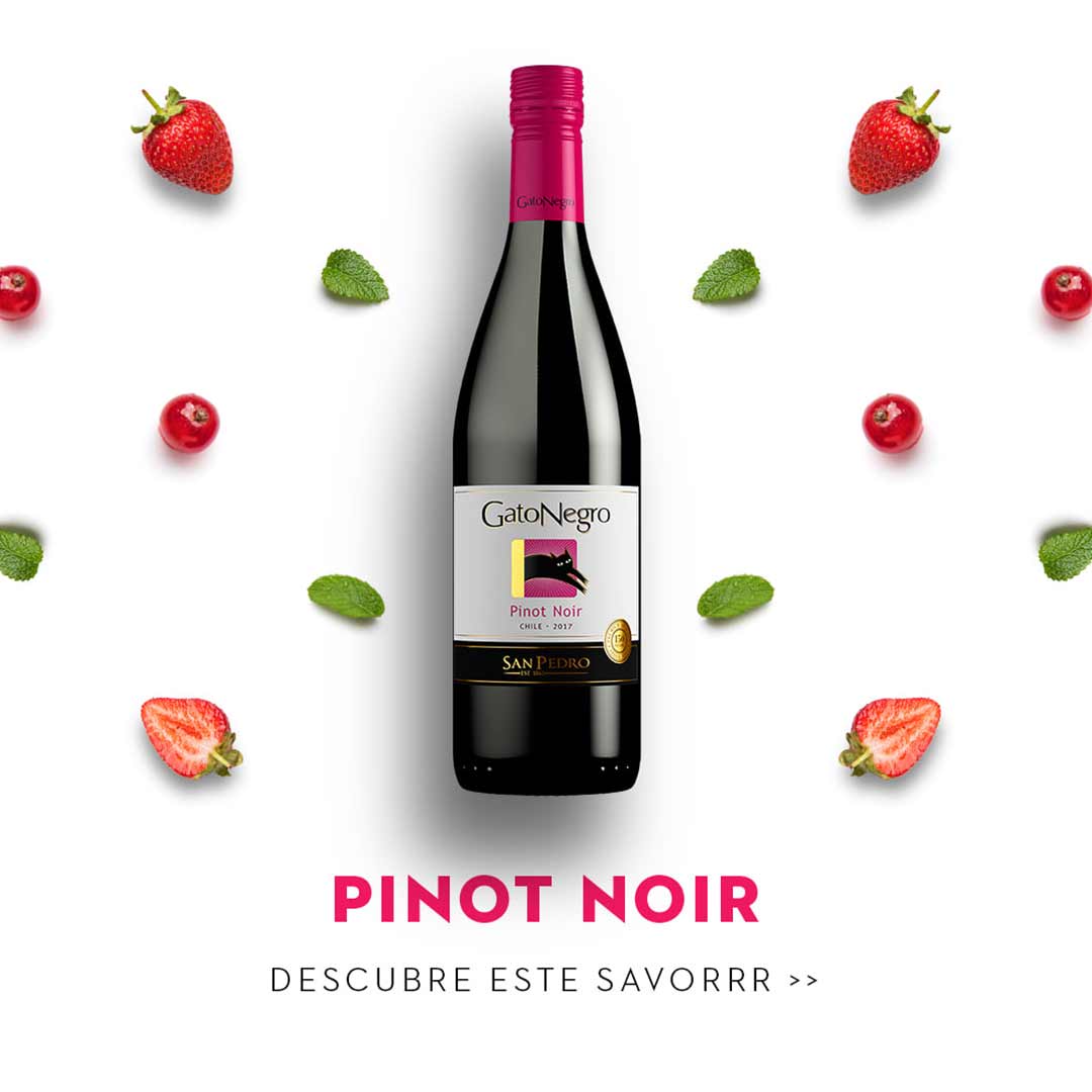 Вино Gato Negro Pinot Noir червоне сухе 0,75л 13,9% купити