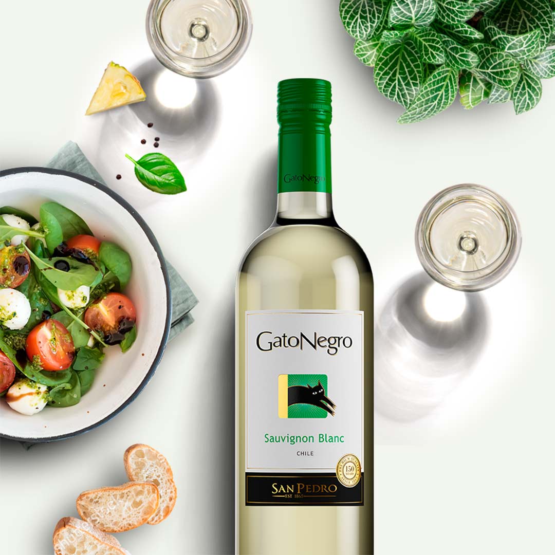 Вино Gato Negro Sauvignon Blanc біле сухе 0,75л 13% купити