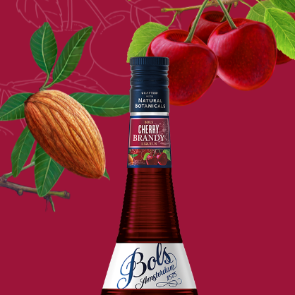Лікер Bols Cherry Brandy 0,7л 24% купити