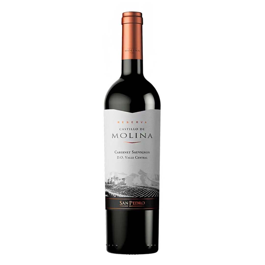 Вино Castillo de Molina Cabernet Sauvignon червоне сухе 0,75л 13-14%