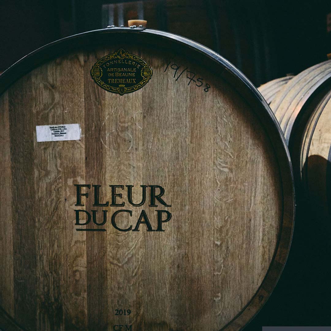 Вино Fleur du Cap Pinotage червоне сухе 0,75л 14% в Україні