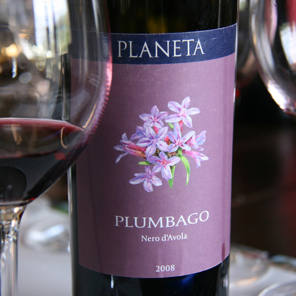 Вино Planeta Plumbago 2016 красное сухое 0,75л 13,5% купить