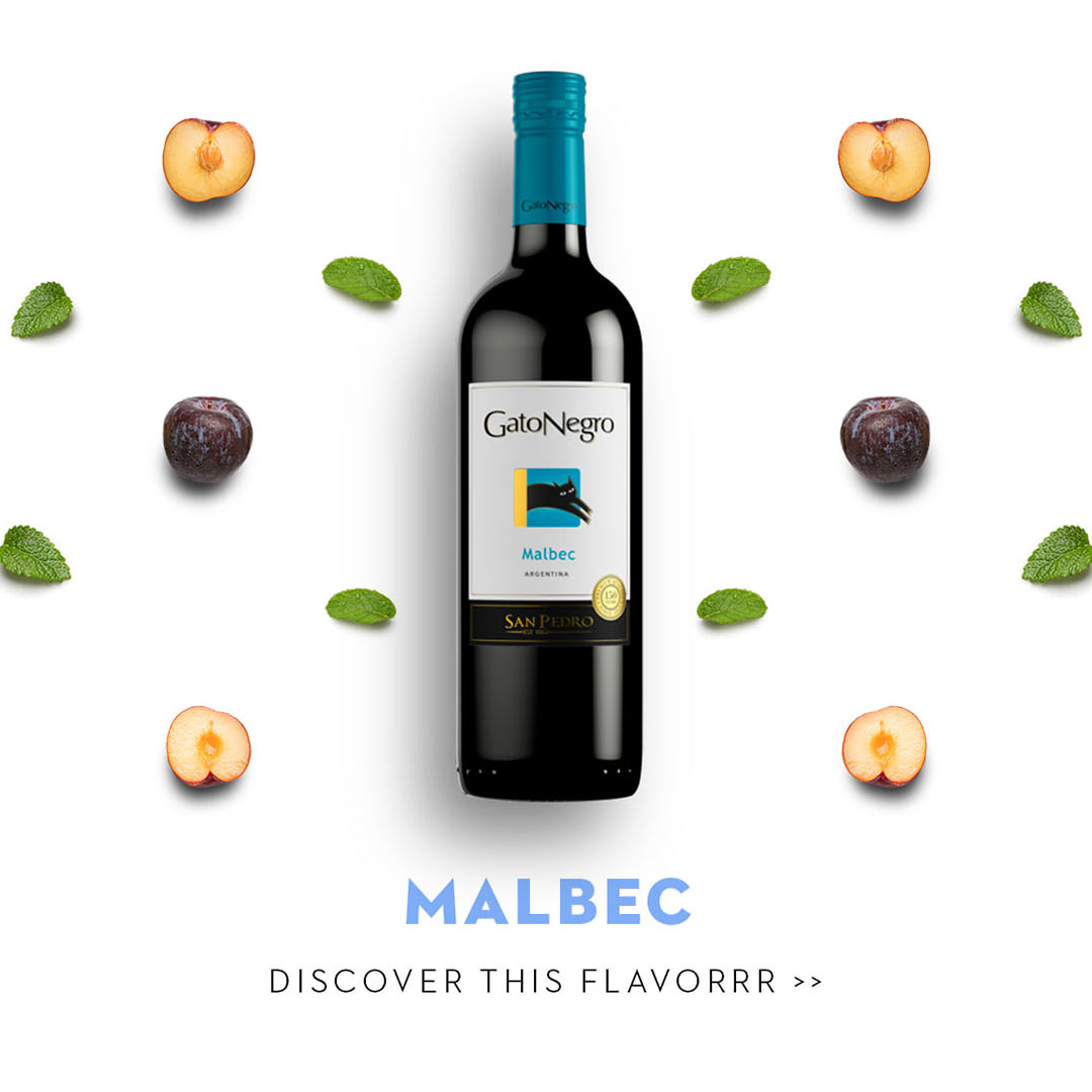 Вино Gato Negro Malbec красное сухое 0,75л 13% купить