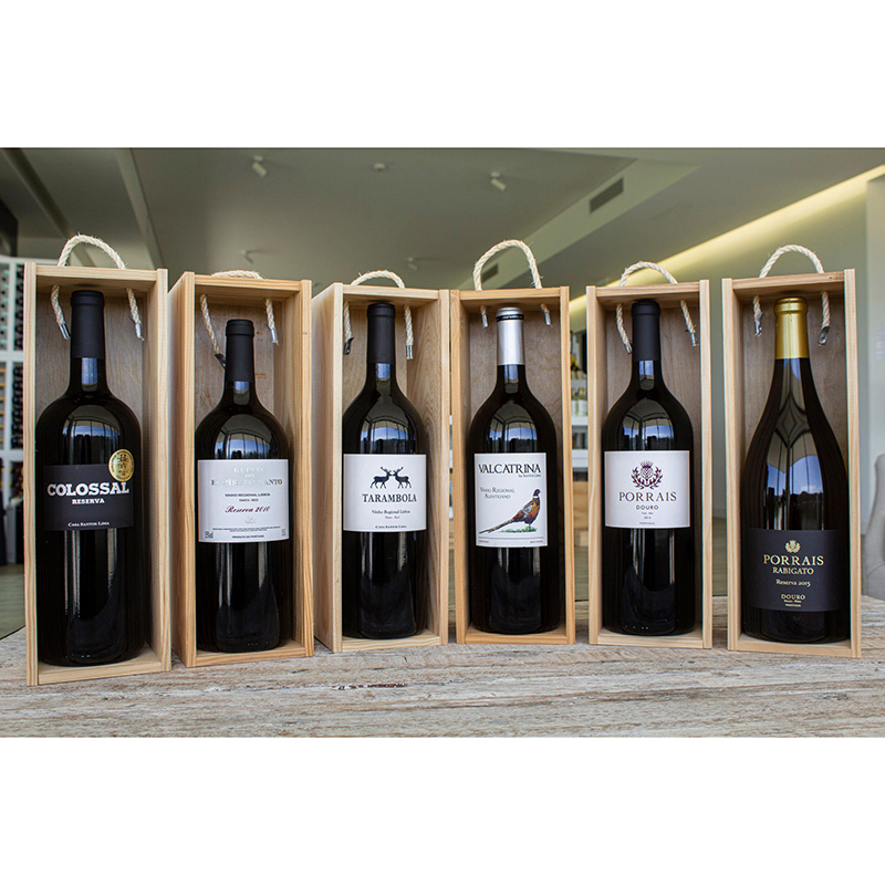 Вино Casa Santos Lima Valcatrina червоне сухе 0,75л 14,5% в Україні