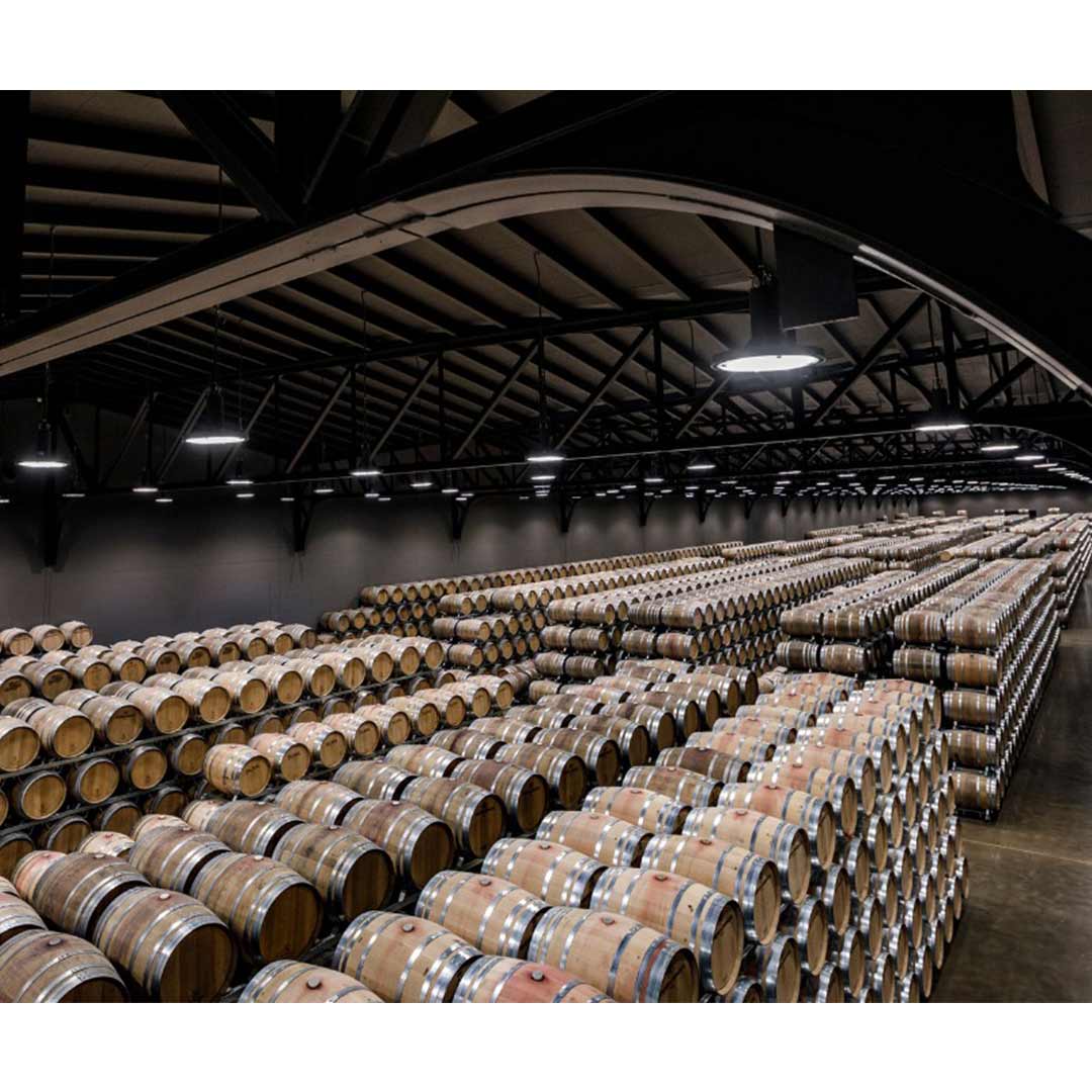 Вино Marques de Murrieta Reserva DOC Rioja красное сухое 0,75л 14% в Україні