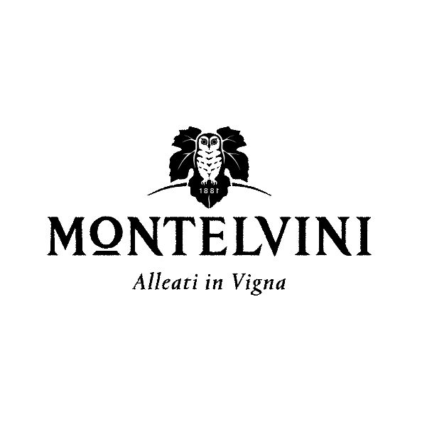 Вино игристое Montelvini Promosso Spumante Millesimato белое брют 0,75л 11,8% купить