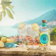 Джин італійський Malfy Con Limone 0,7л 41% купити