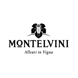 Вино игристое Montelvini Prosecco DOC Spumante Extra Dry 0,75 л 11% купить