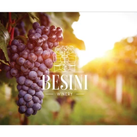 Вино Besini Saperavi червоне сухе 0,75л 13% купити