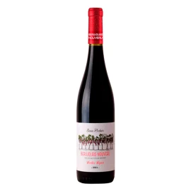 Вино Beau Rocher Beaujolais Nouveau 2021 красное сухое 0,75л 12%