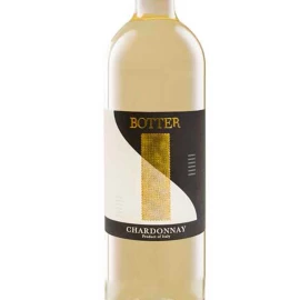 Вино Botter Veneto Indicazione Chardonay 2018 біле сухе 0,75л 12% купити