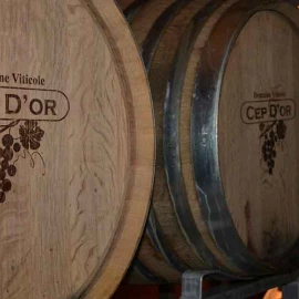 Вино Cep d'Оr Saint Tropez Rose  сухое розовое 0,75л 13% купить