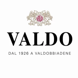 Вино игристое Valdo Prosecco DOC Extra dry Spumante Bianco белое сухое 0,75л 11% купить