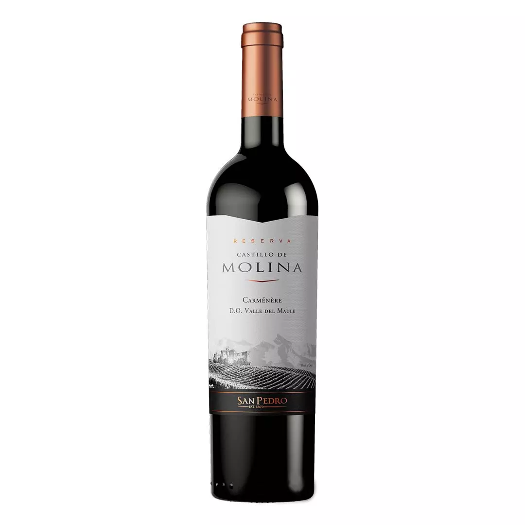 Вино Castillo de Molina Carmenere червоне сухе 0,75л 13-14%