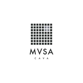 Вино игристое MVSA Cava DO Brut Vallformosa белое сухое 0,75л 11,5% купить