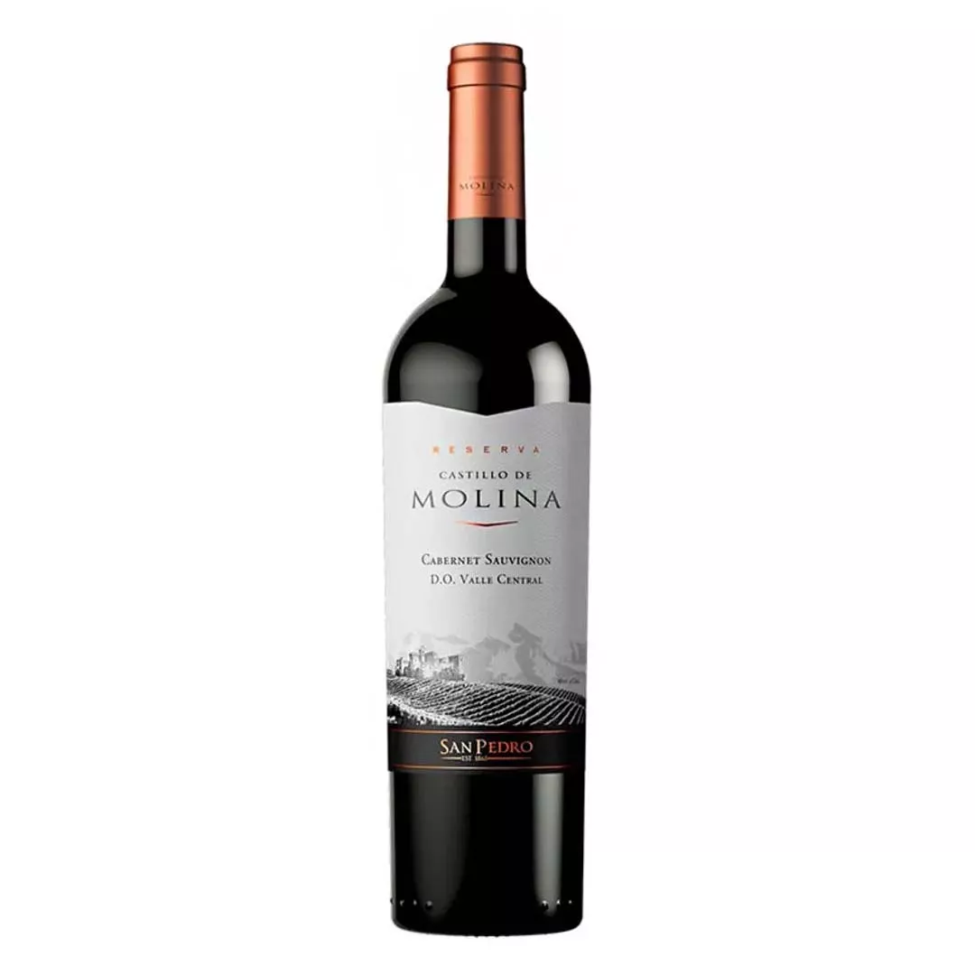 Вино Castillo de Molina Cabernet Sauvignon червоне сухе 0,75л 13-14%