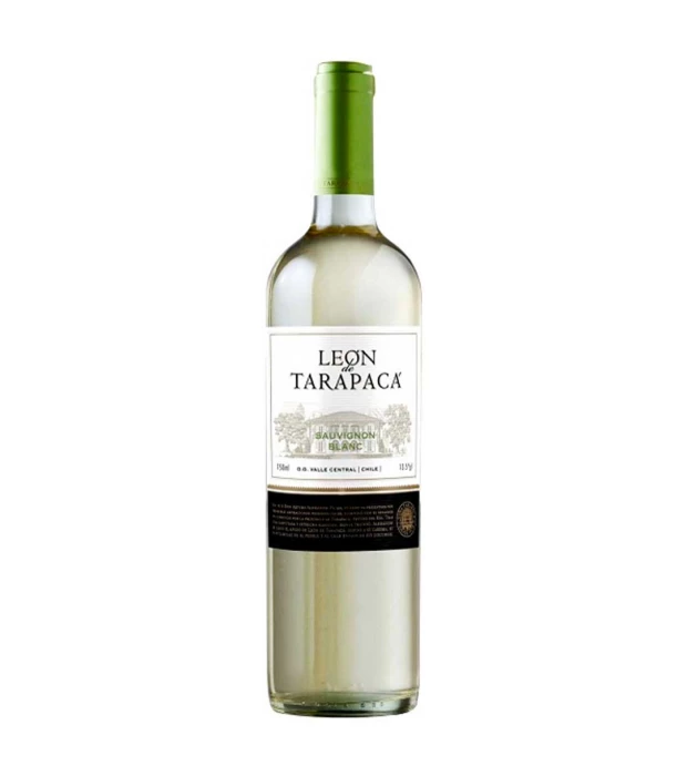 Вино Tarapaca Sauvignon Blanc Leon de Tarapaca белое сухое 0,75л 12.5%