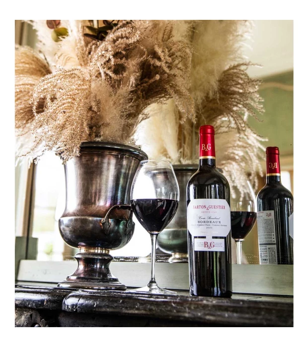 Вино Barton & Guestier Bordeaux Rouge Passeport красное сухое 0,75л 13% купить