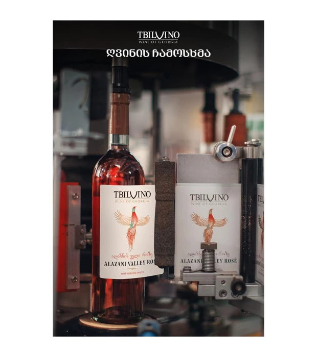 Вино Tbilvino Алазанська Долина біле напівсолодке 0,75л 11% купити