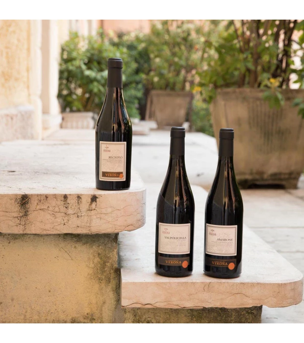 Вино Cantina di Verona Valpolicella Superiore сухое красное 0,75л 13% купить
