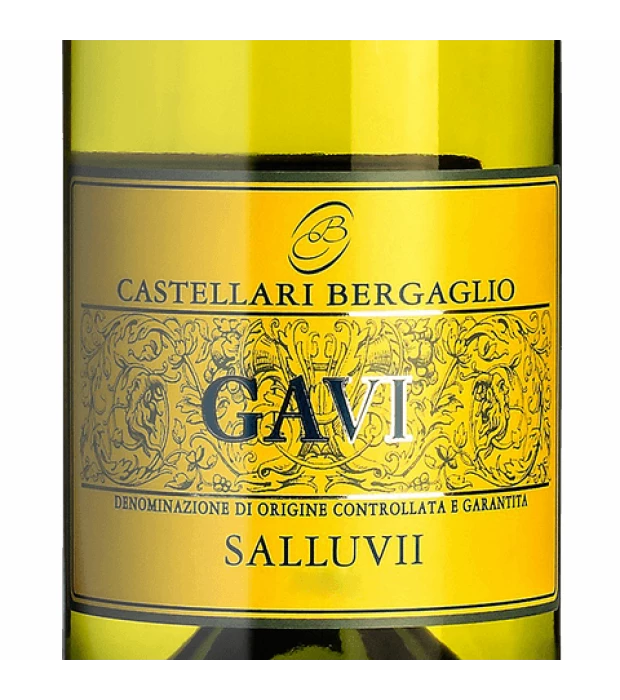 Вино Castellari Bergaglio Gavi Salluvii біле сухе 0,75л 12.5% купити