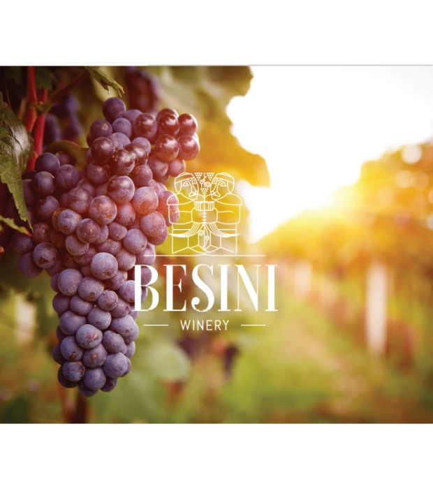 Вино Besini Алазанська долина біле напівсолодке 0,75л 12% купити