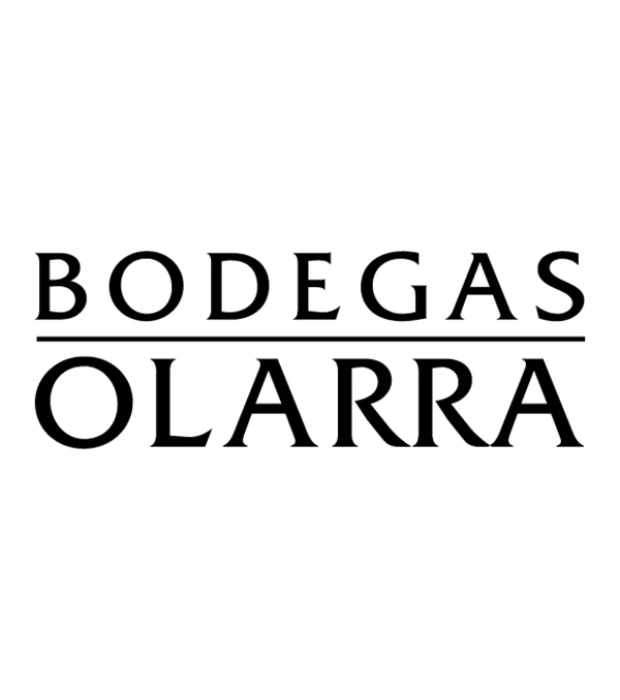 Вино La Catedral Bodegas Olarra сухое красное 0,75л 13% купить