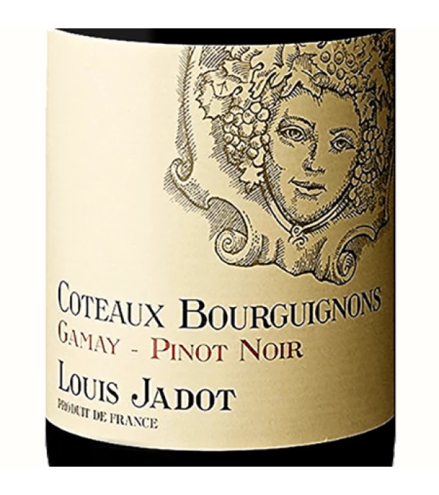 Вино Louis Jadot Coteaux Bourguignons Gamay-Pinot Noir сухое красное 0,75л 13% купить