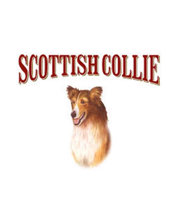 Віскі Scottish Collie 0,7л 40% у тубусі купити