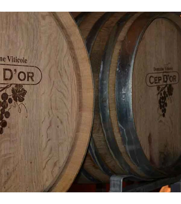 Вино Cep d'Оr Saint Tropez Rose рожеве сухе 0,75л 13% в Україні
