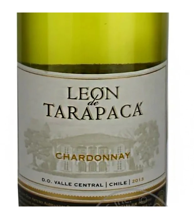 Вино Tarapaca Chardonnay Leon de Tarapaca белое сухое 0,75л 13% купить